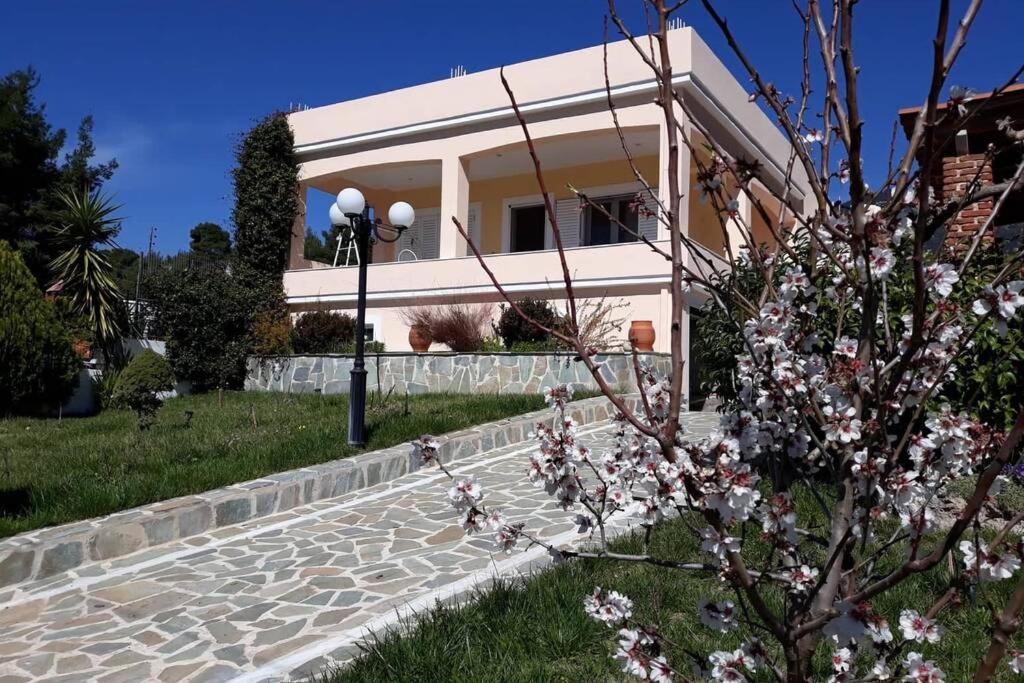 Σπίτι Στο Βουνό Αλλά Μια Ανάσα Από Τη Θάλασσα Paleochori Exterior foto