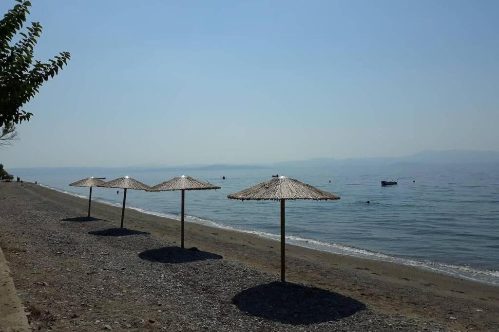 Σπίτι Στο Βουνό Αλλά Μια Ανάσα Από Τη Θάλασσα Paleochori Exterior foto