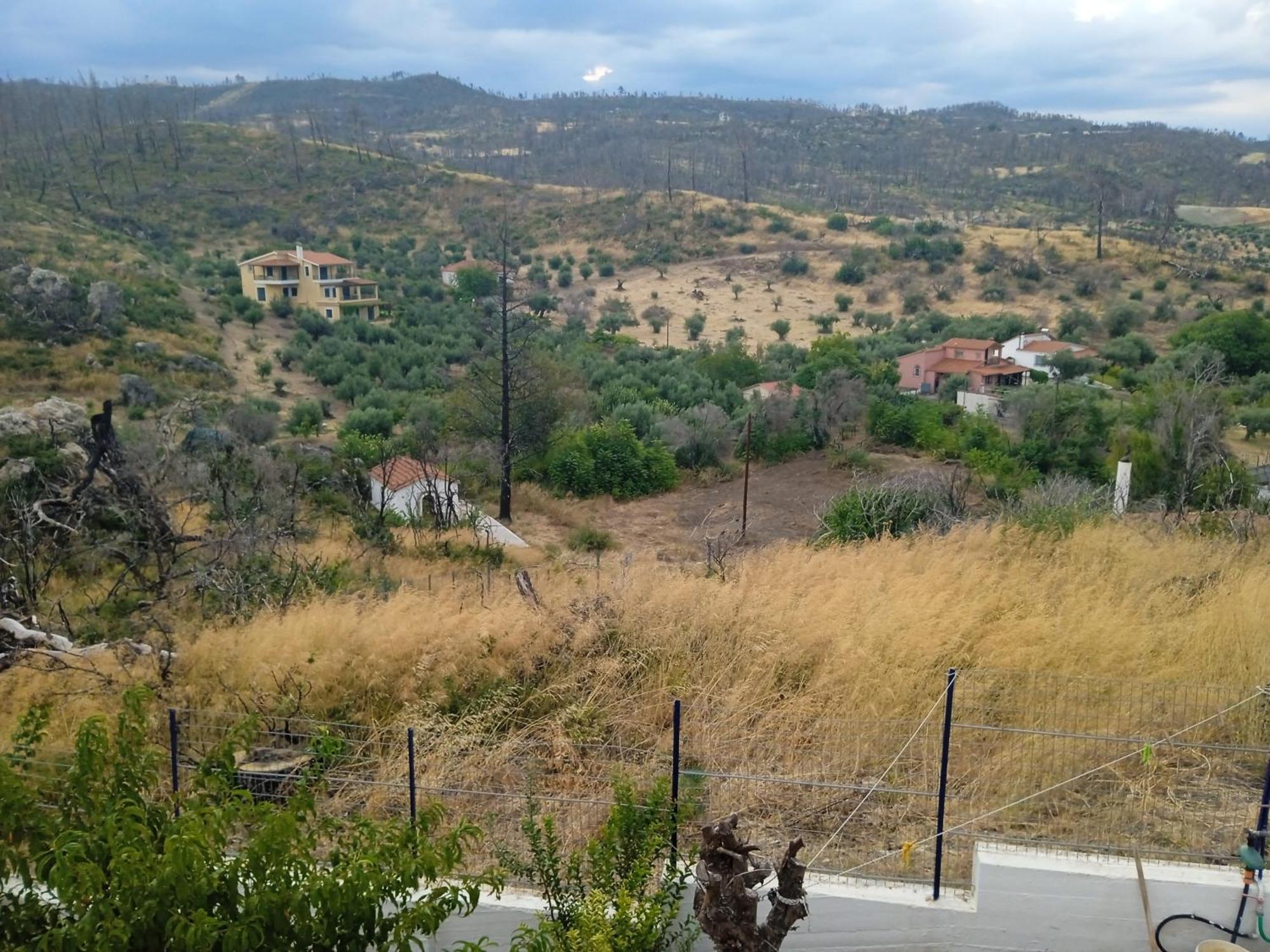 Σπίτι Στο Βουνό Αλλά Μια Ανάσα Από Τη Θάλασσα Paleochori Exterior foto